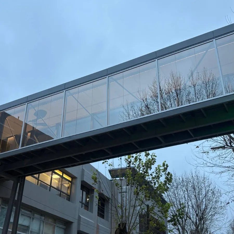 Puente entre clínicas — detalle estructural